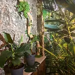 Welcome To The Jungle