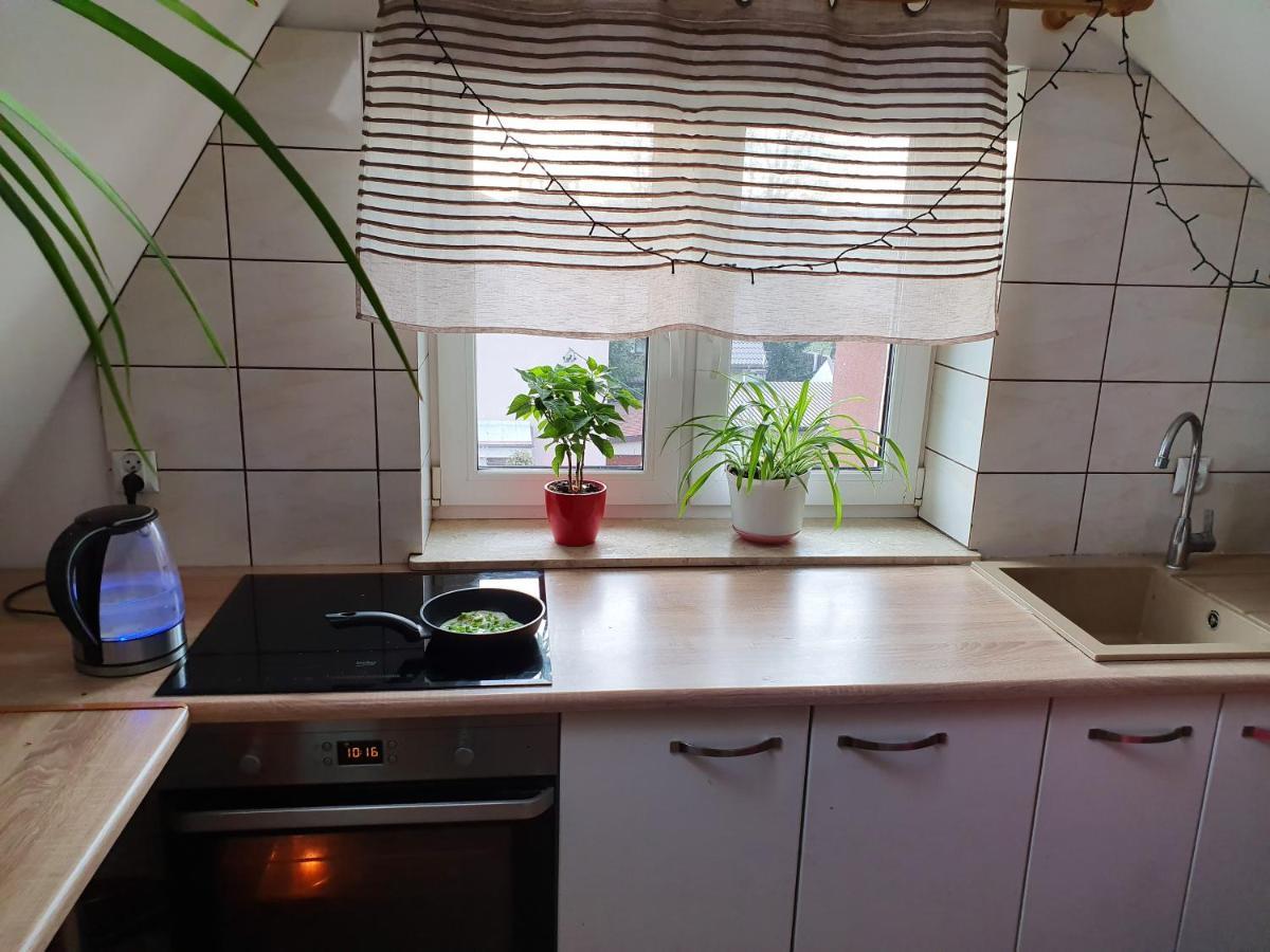 Mleczna Hostel *