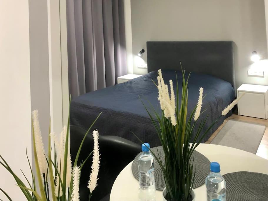 Apartment K22 Slawinska 504 In The
