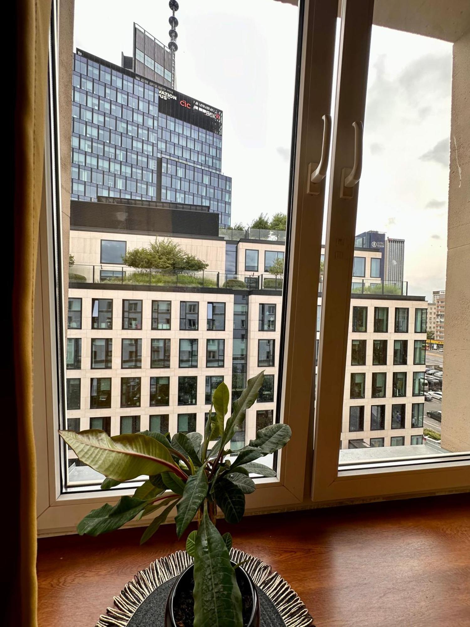 Apartament Africa Warszawa