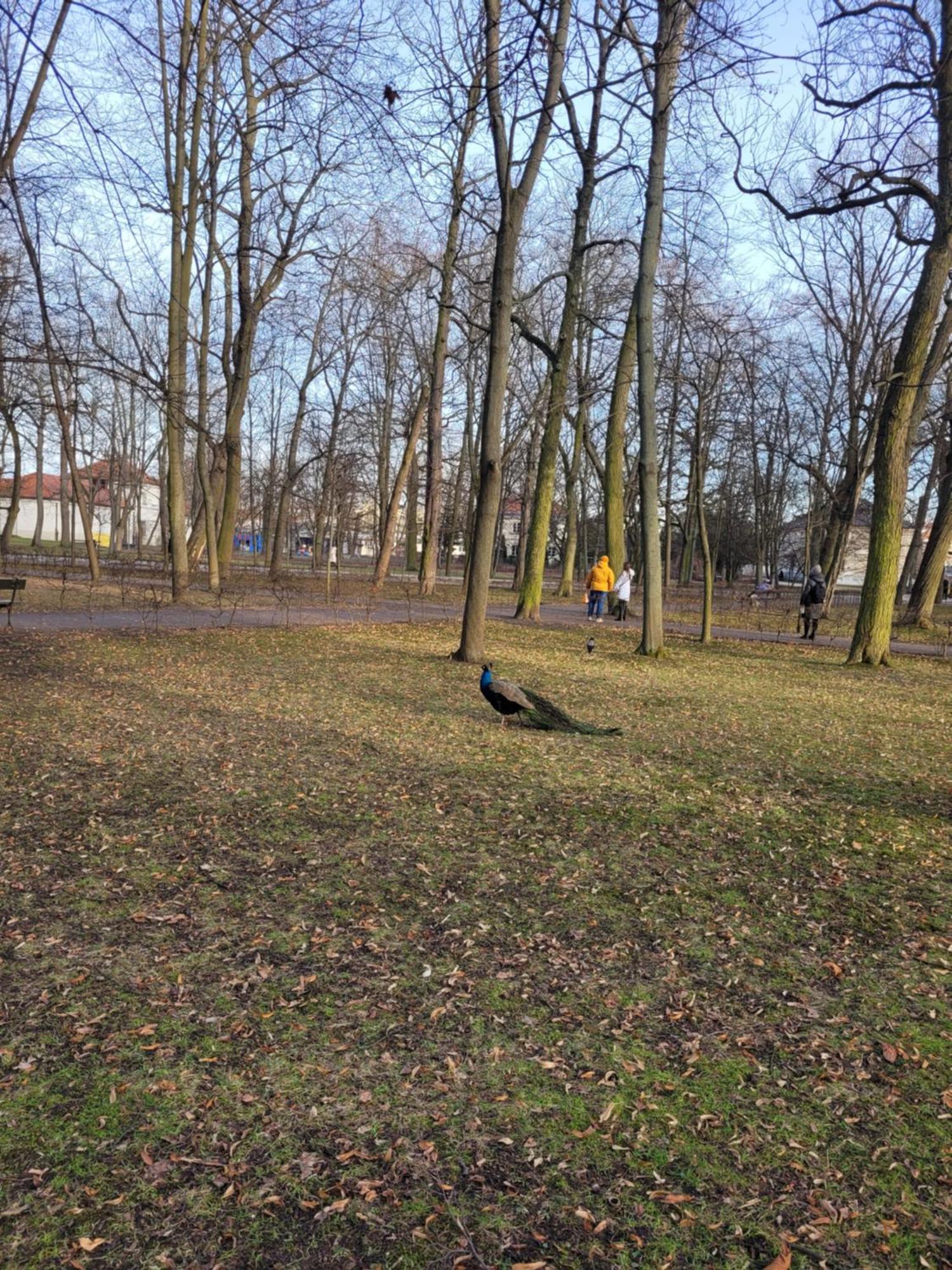 Near Rondo Onz Privatunterkunft