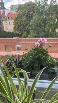 Krzywe Kolo 14-16-18 M7 * Warsaw