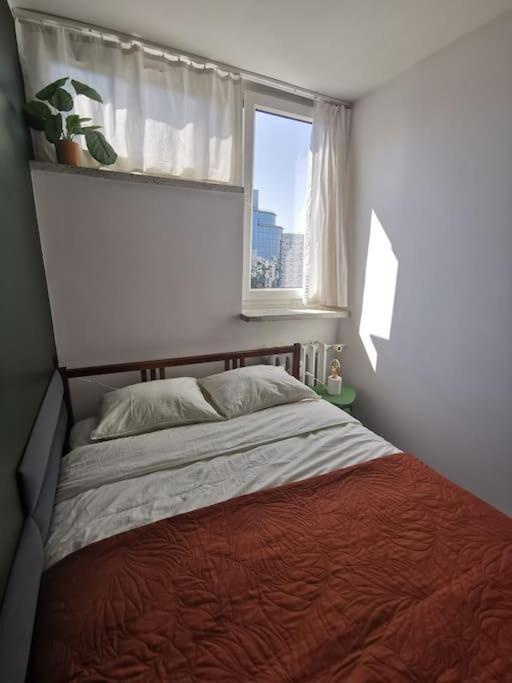 Loft Z Widokiem Na Warszawe