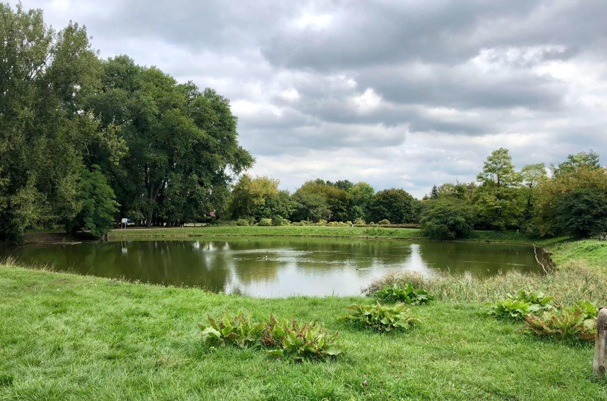 Beautiful In Mokotow Near Krolikarnia Park 2