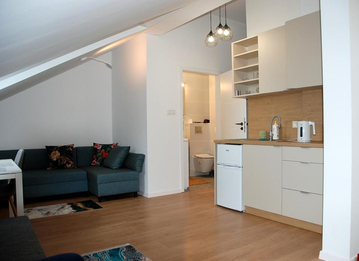 Cozy Penthouse Praga Kamionek Apartment