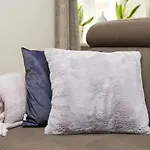 Rent Like Home - Nowy Swiat 47A