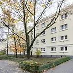 City Center/Golden Apartments&N17