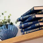Bliska Wola Navy Blue Business Apartment