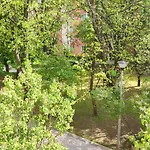 Zielony Żoliborz
