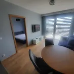 Studio Praga Zoo New Flat