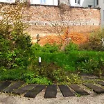 Szmulson