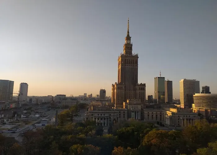 The View Studio