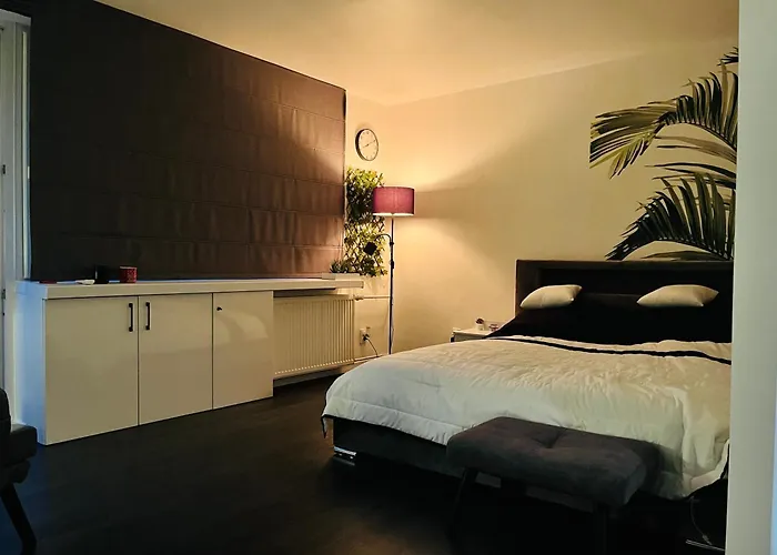 Apartament Panska 5