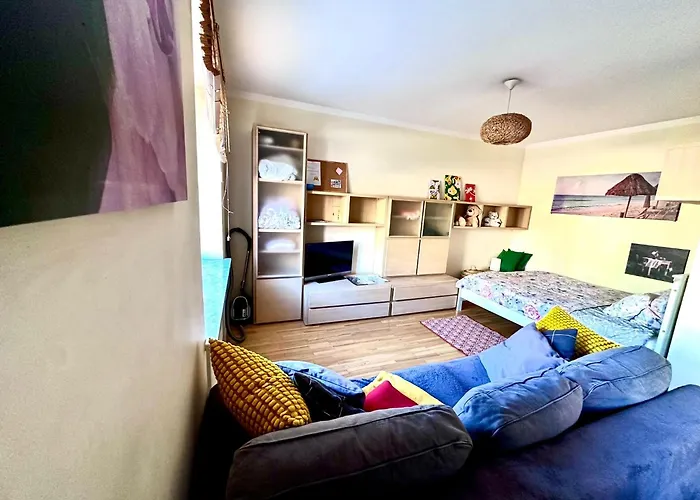 Studio Entire Apartmant