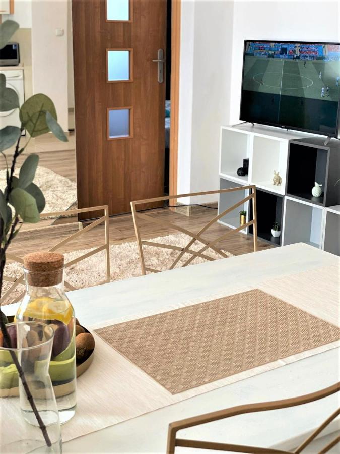 Apartamento Vicky - New Centrum Srodmiescie