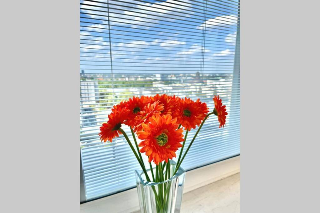 Orange 2 2xmetro Fast Wifi 50'tv Netflix Hbo Appletv+ Panorama Apartment