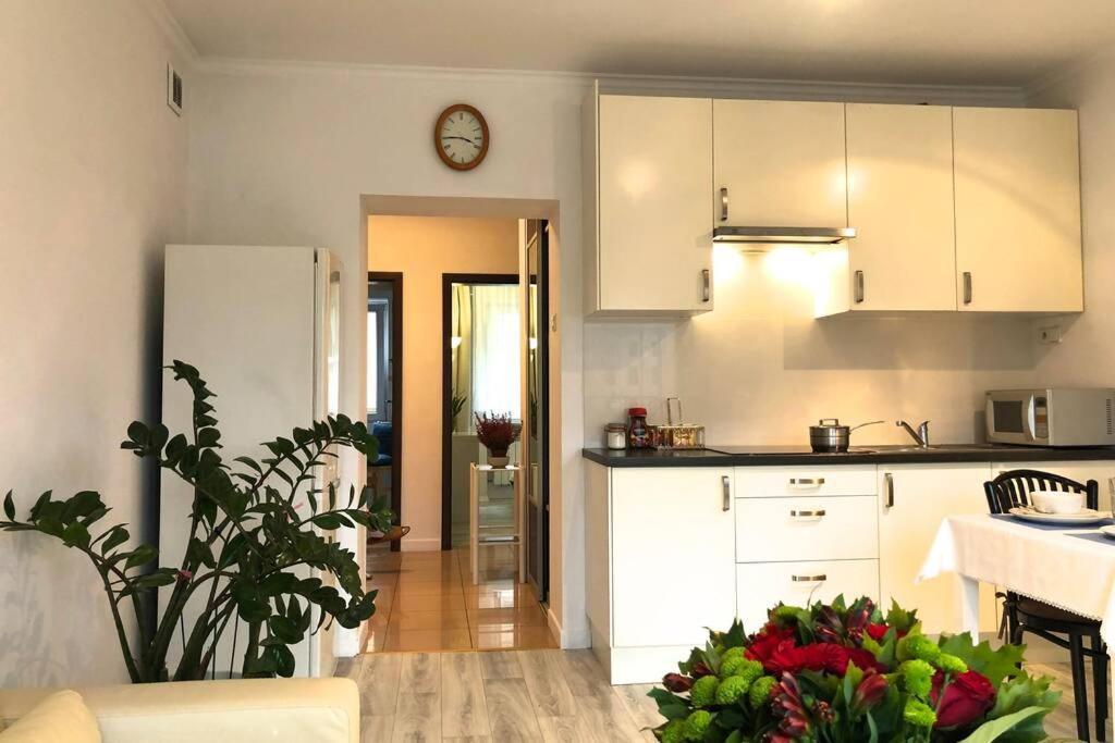 Apartment Center- Large With National Musee View