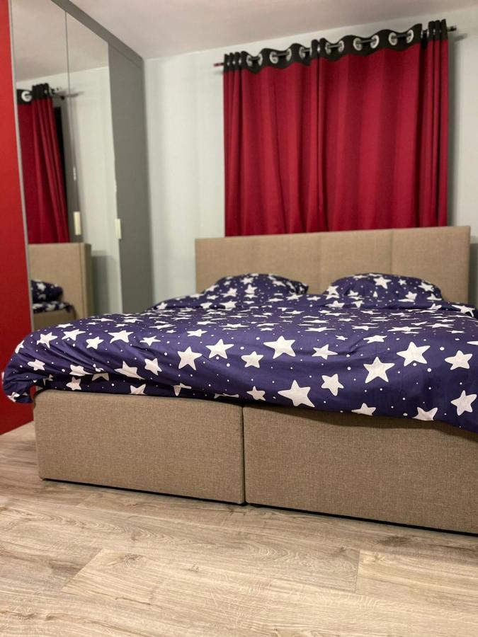 Homestay A Large Luxurious Private Room, In A Shared Apartment-close To The Centre