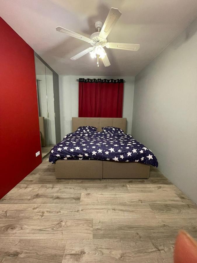 A Large Luxurious Private Room, In A Shared Apartment-close To The Centre Homestay *