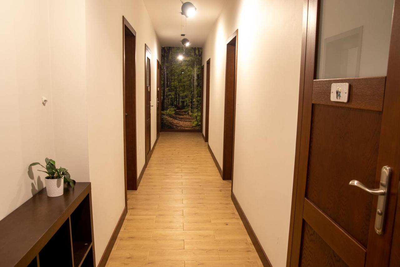 Forrest Style Goscinne Homestay