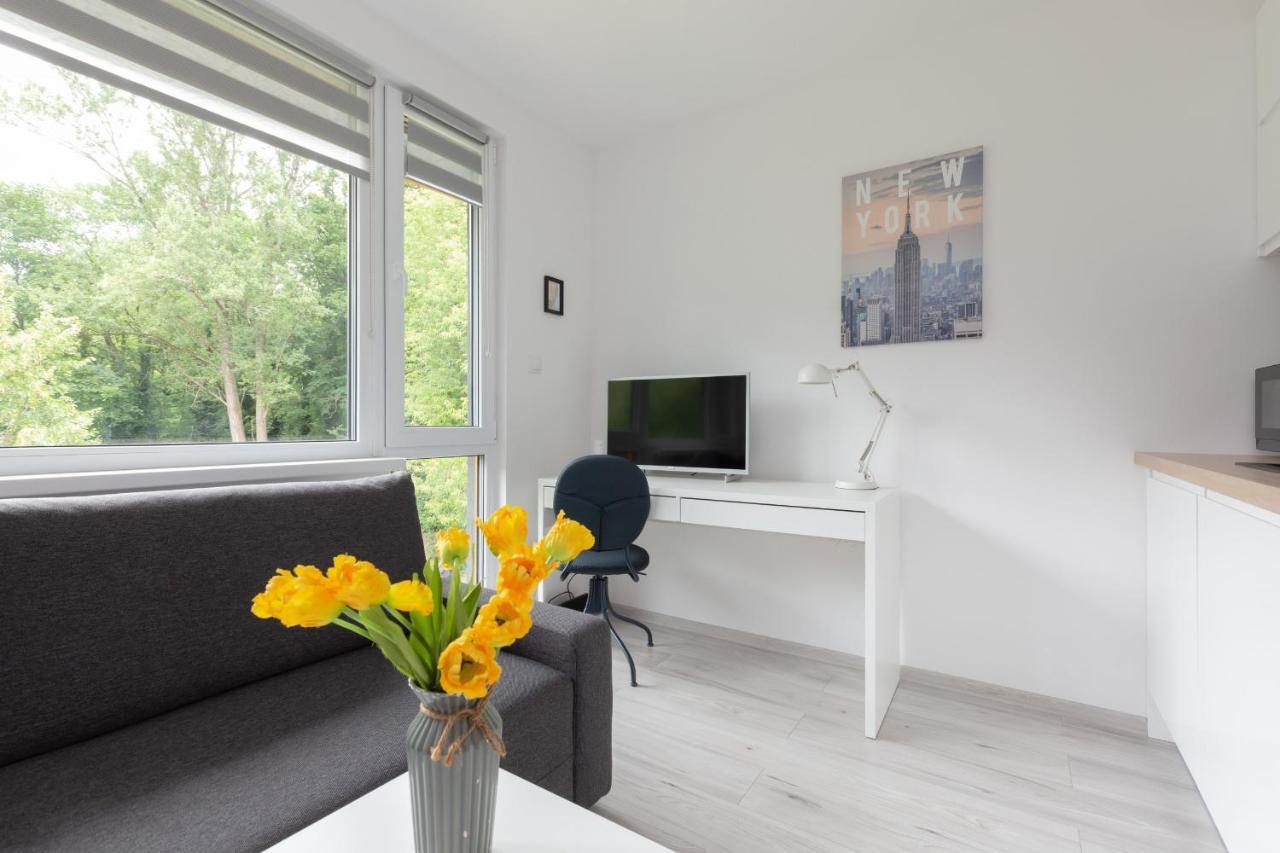Pet-friendly Batorego By Renters *