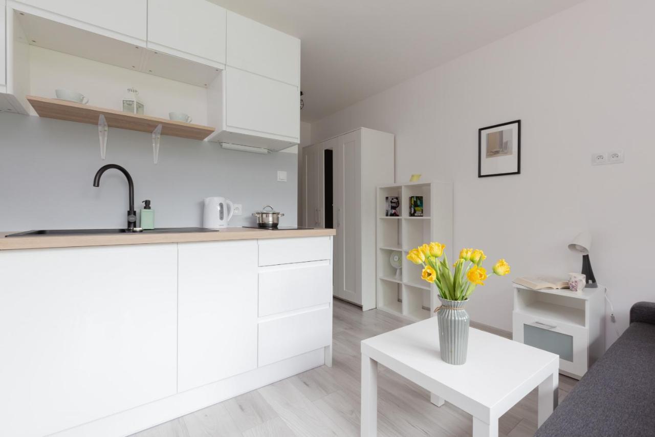 Apartment Pet-friendly Batorego By Renters