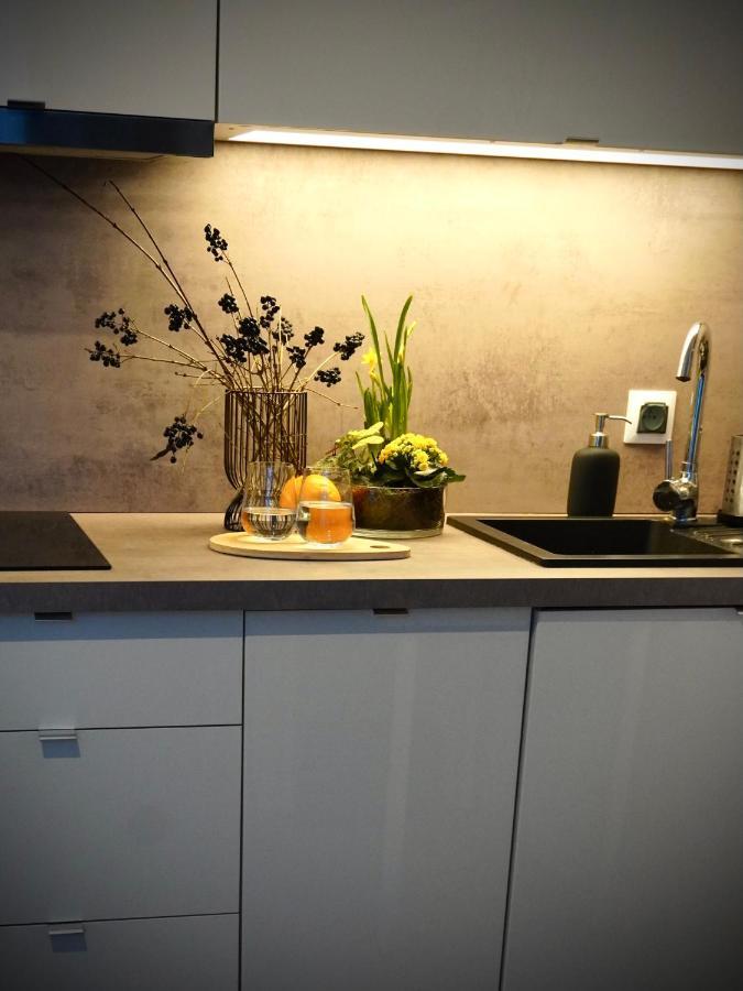 Apartment White Park Batorego Mokotow Centrum Wifi Free Smarttv Warsaw