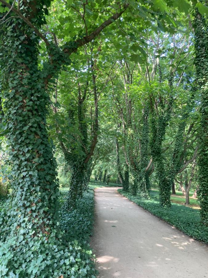 Green Park Downtown Warschau