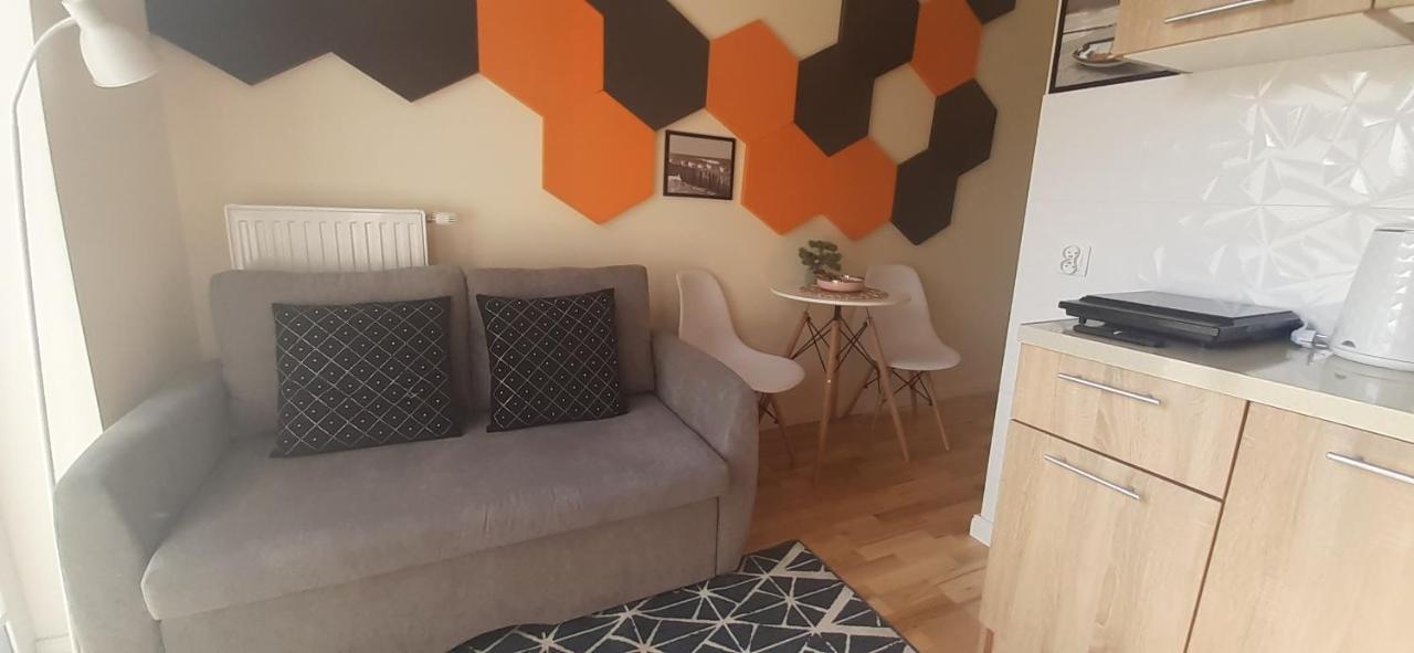 Apartment Elegant - 10 Min To The Centre, Near The Parks