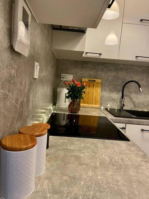Apartament Blisko Centrum Warszawy Apartment *