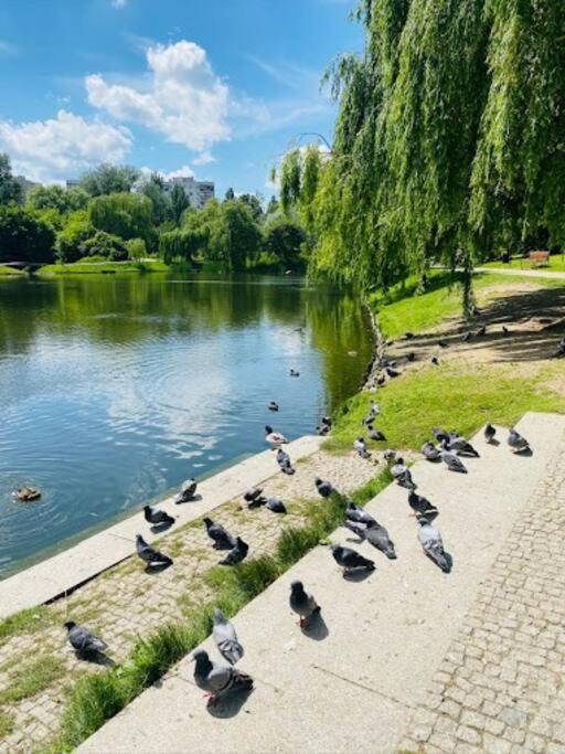 Syreny Warsaw