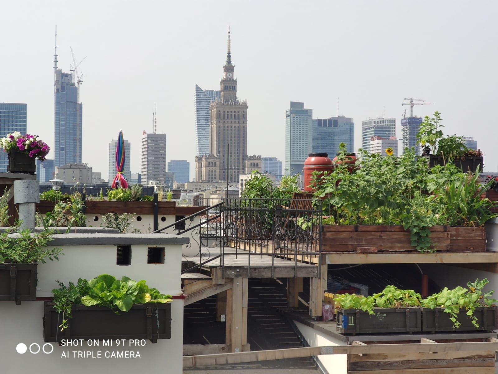 Aparthotel Chopin Boutique Warsaw