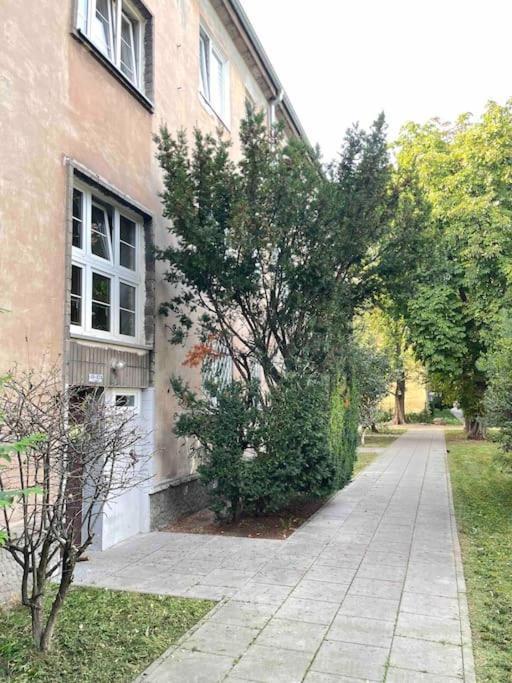 Pajczur - 40m2 * Warszawa