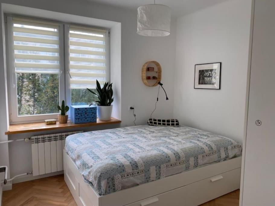 Apartament Pajczur - 40m2