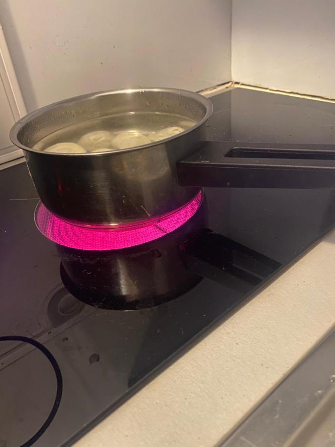 Komfort Na Tamce,parter, Niedaleko Starowki, Powisle Apartamento