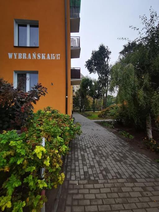 Apartment Cosy