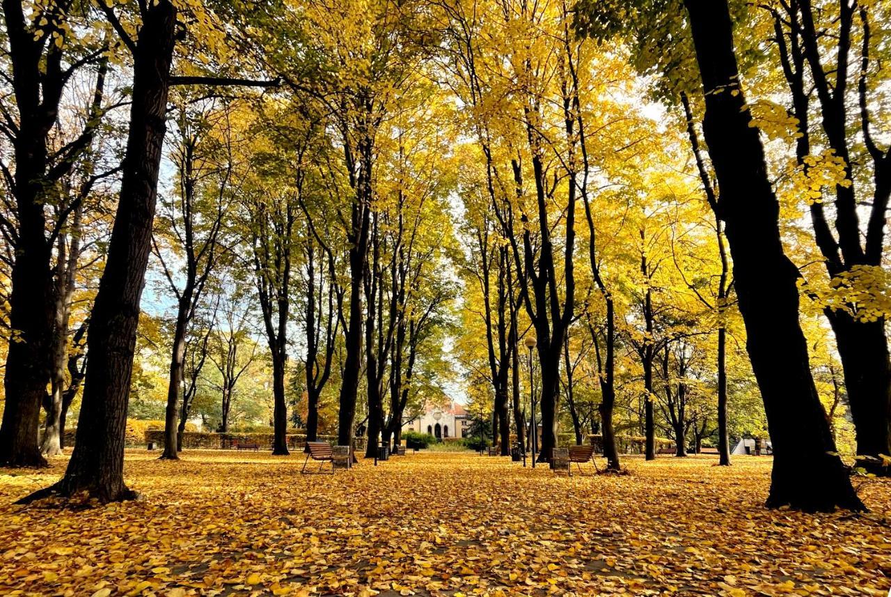 Căn hộ Royal Lazienki. Beautiful By The Park. *