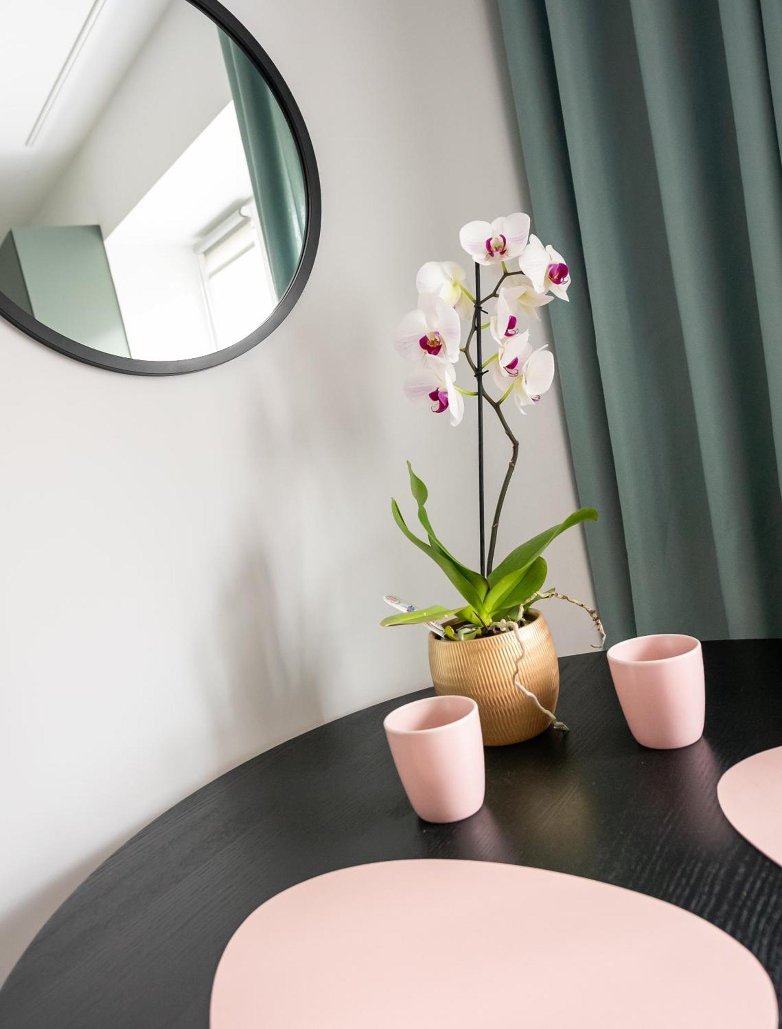Nowolipki Chic Studio Apartment