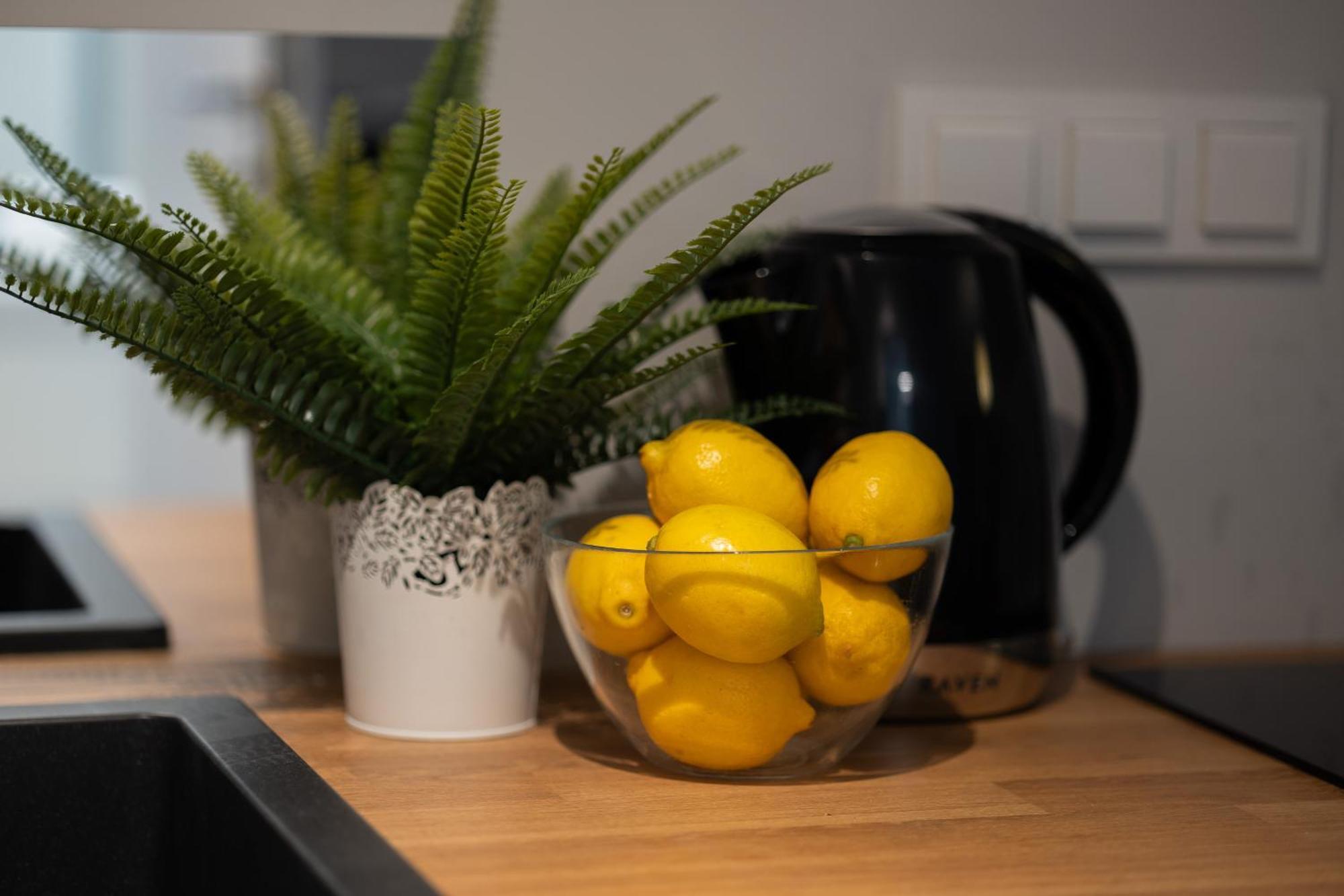 Apartament Praga Kokoryczki With Parking By Renters *