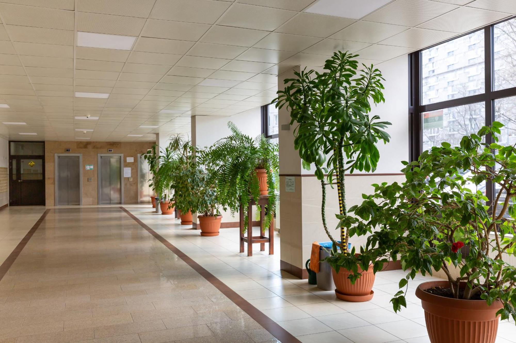 Apartment Charming Marszalkowska In The Centre Of By Renters *