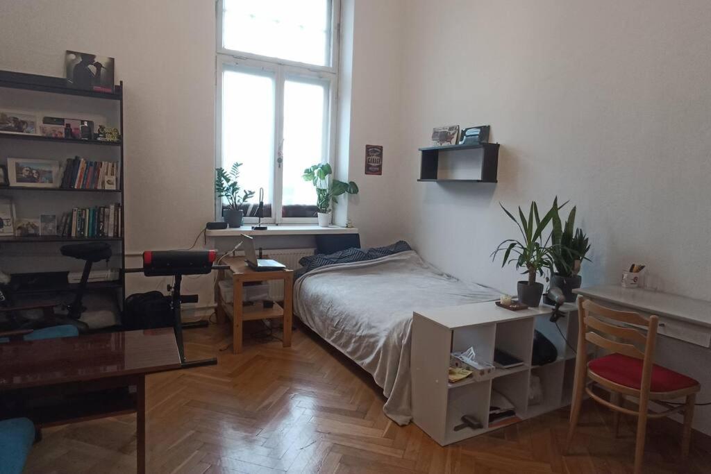 Entire Studio In The City Center Apartment
