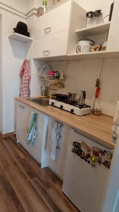 Entire Studio In The City Center Apartment *