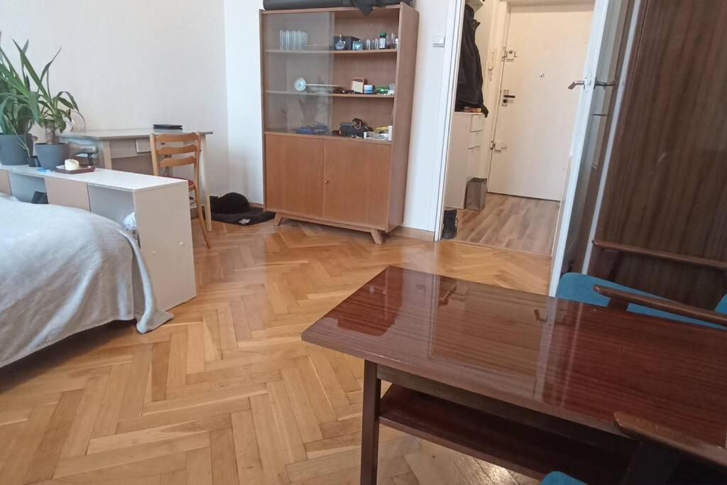 Apartment Entire Studio In The City Center Warsaw