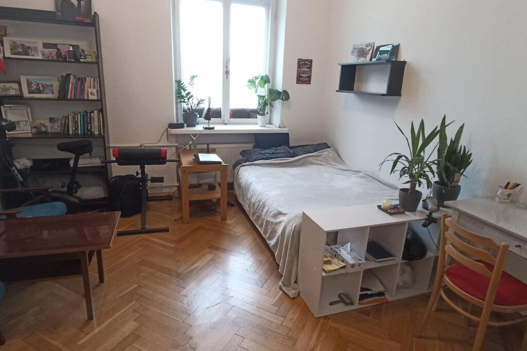 Apartment Entire Studio In The City Center