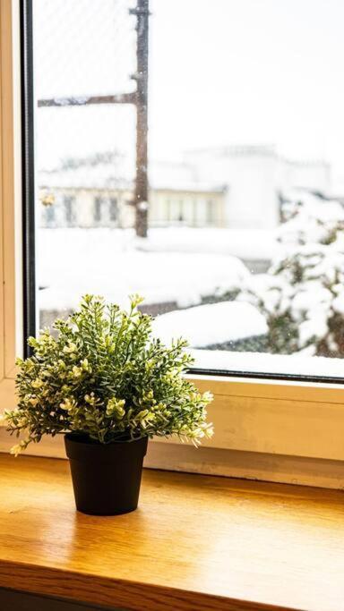 Apartamento Mieszkanie Z Duzym Terasem W Warszawie