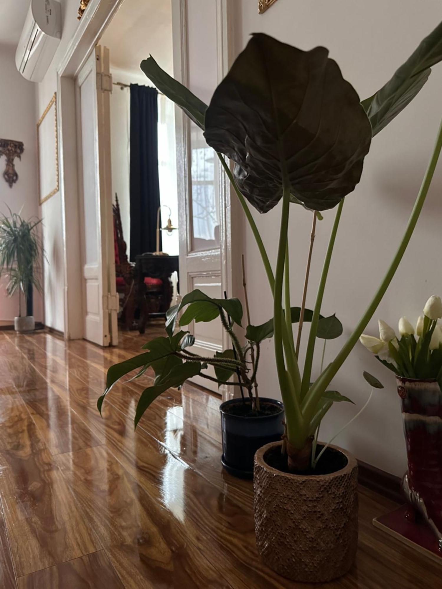 Apartment Exclusive Chmielna Street 95m2
