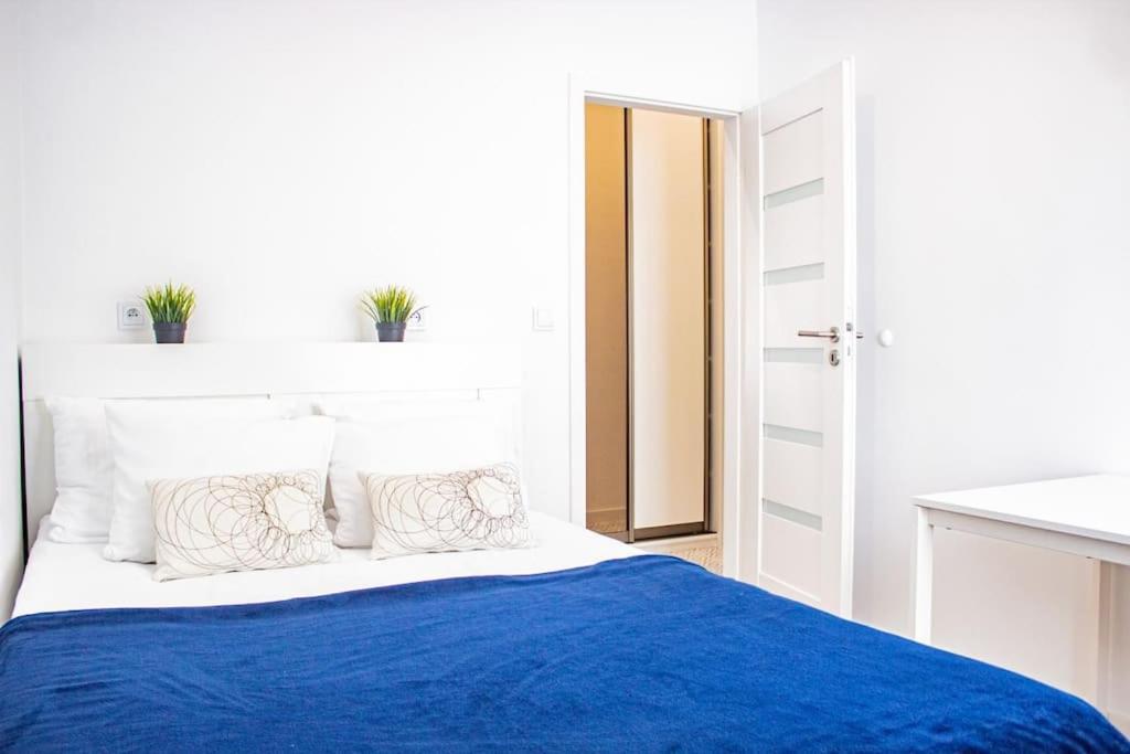 Spacious With 3 Meter Ceilings, Powisle, The Old Town