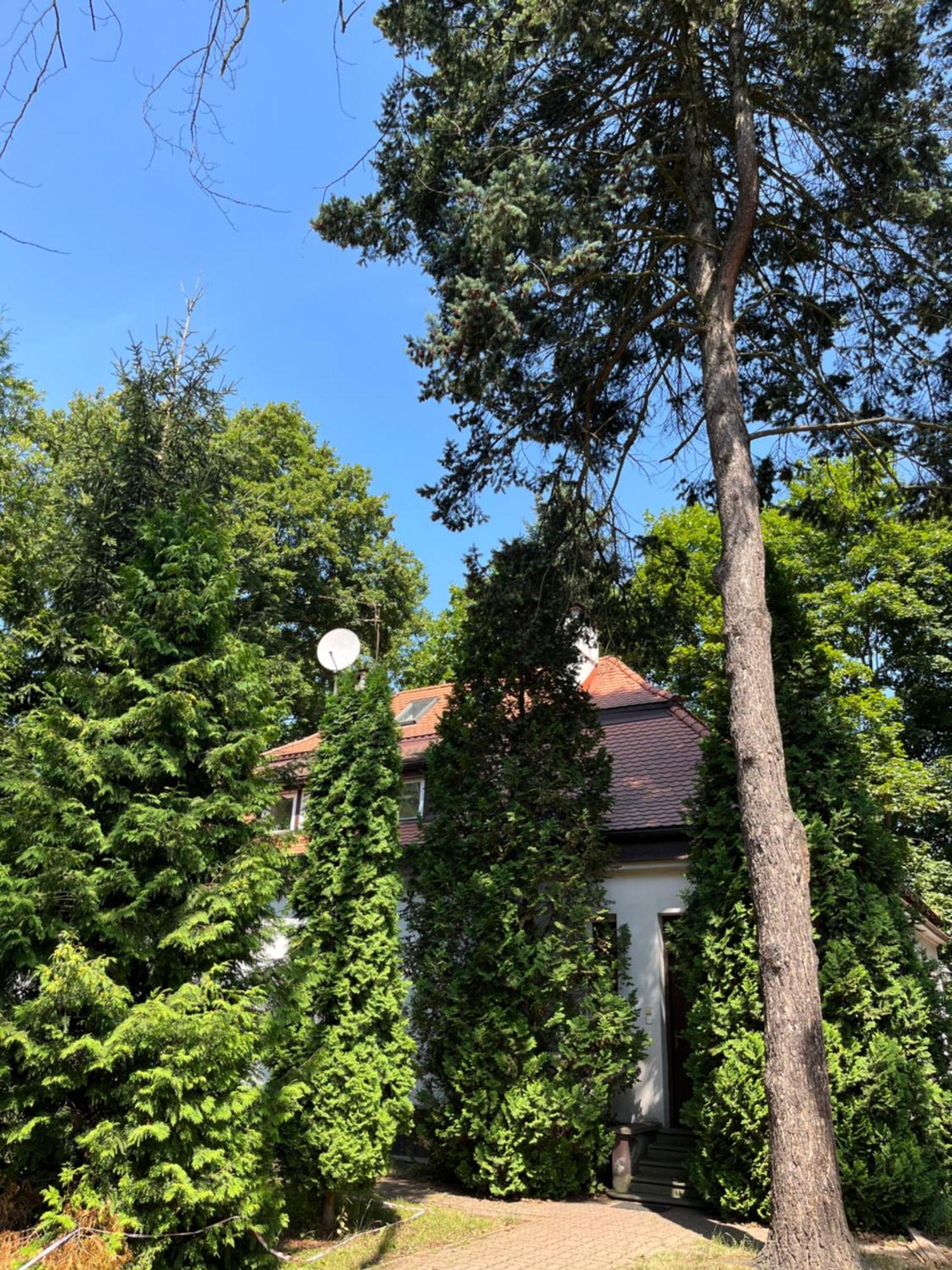 Dedek Park - Historyczny Dworek W Pieknym Parku Skaryszewskim Obok Stadionu Narodowego Khách sạn hẻo lánh 3*