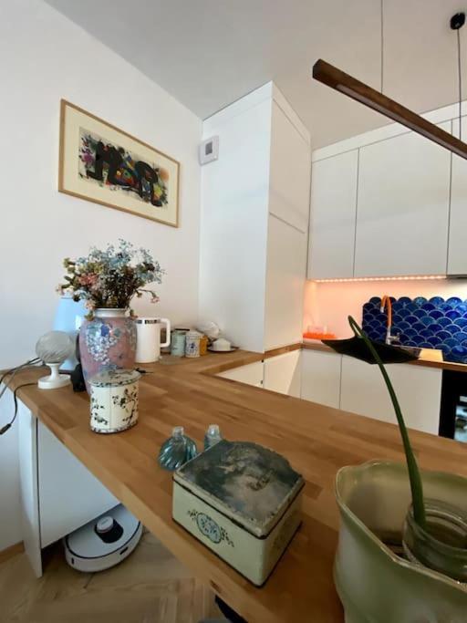 Old Town Praga-smart Home, Garage Apartament Warszawa