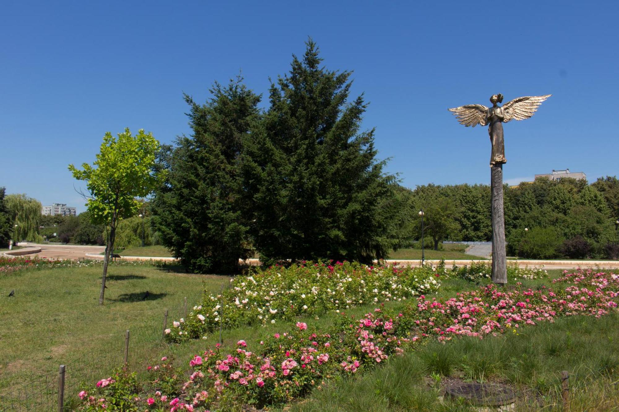 Chodecka Apartament